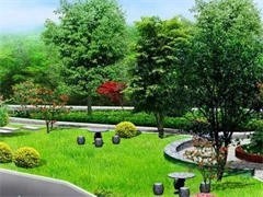 上海城市綠化養護服務 守護城市生態之美